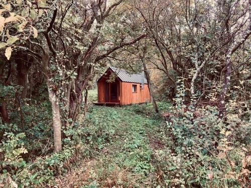Selanka Off road Hill View obrázok