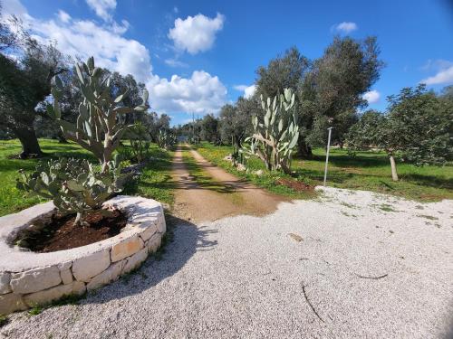 Trullo magico Trullo magico