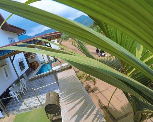 Bazen, MICASO Guest House in Limbe