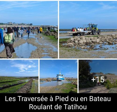 Gite des Zèbres Aventuriers