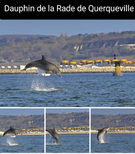 Gite des Zèbres Aventuriers