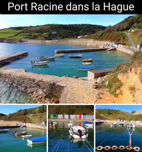 Gite des Zèbres Aventuriers