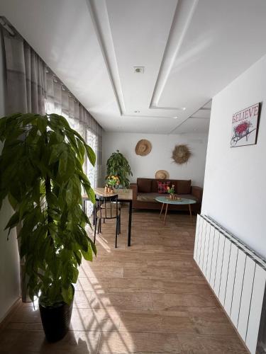 Jasmine Studio coquette