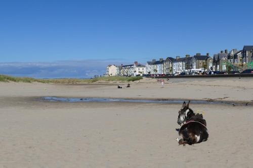 Bae Abermaw Hotel - image 3