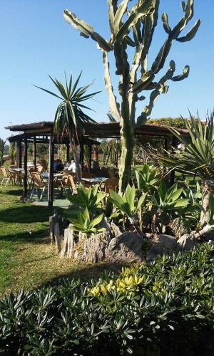 Hostal Restaurante La Ilusion - image 2