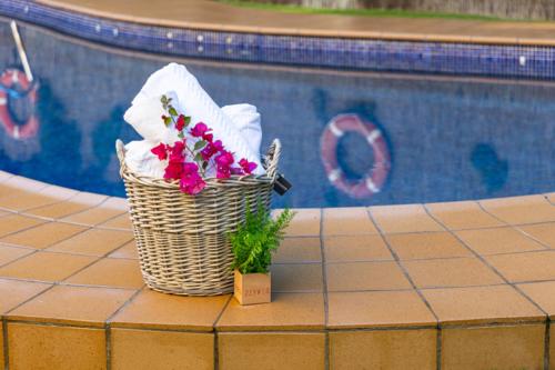 Hotel Plaza del Castillo - image 2