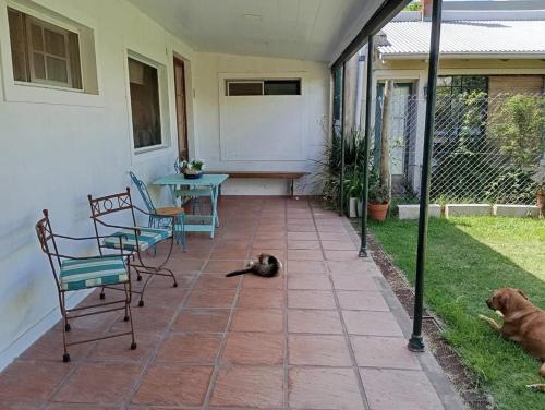 Socaire, tu refugio en Chascomús, Chascomús (fotografie 3)