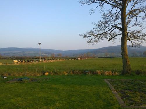 Kilátás, The Dairy Lodge in Kilmallock