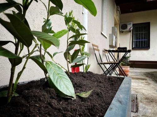 Manca's Apartment with Free Parking, Lublaň (fotografie 9)