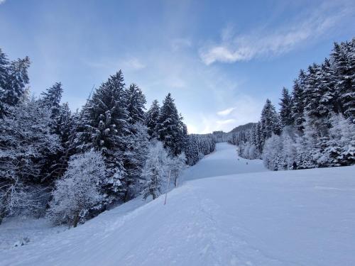 Steirermaxx Apartments Steirermaxx Apartments