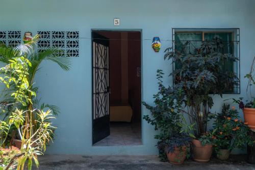 Garden, Hostal Delmy in Suchitoto
