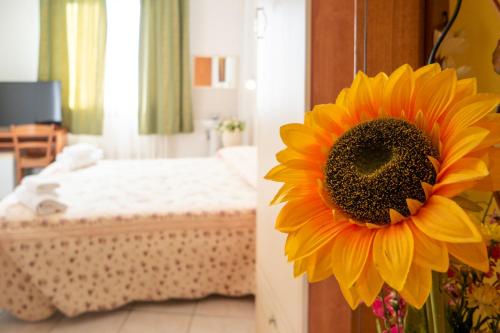 B&B New Aurora Venice - image 11