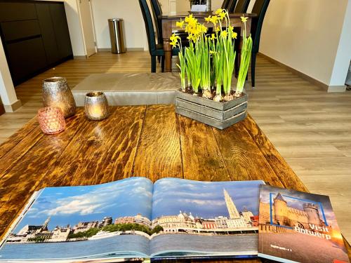 Elegant 3-Bedroom Apartment, Amberes (foto 8)