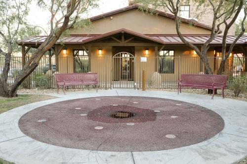 Simply Irresistible in Sonoran Foothills