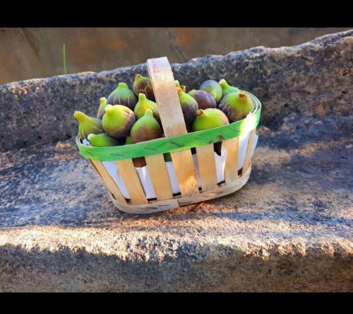 Sous le jasmin étoilé