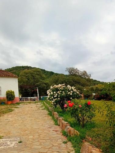 Skats, El Bachiller JABUGO Alojamiento Rural in Santa Analareala