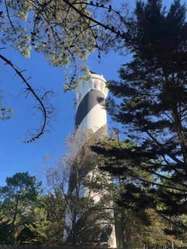 MH 558 SPACIOSA 2 chambres ET 1 salle de bain 45m2 2 terrasses avec vue sur foret dans camping 4étoiles MH 558 SPACIOSA 2 chambres ET 1 salle de bain 45m2 2 terrasses avec vue sur foret dans camping 4étoiles