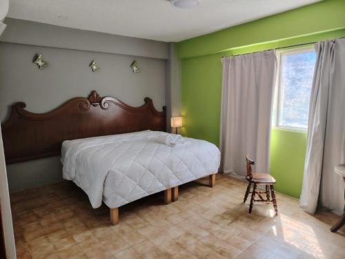 Cabo Tortuga Hotel Boutique - image 3