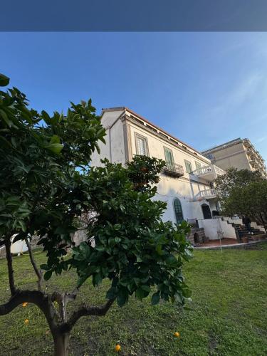 Villa Astrea 4