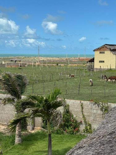 Casa são lucas (Casa sao lucas) in Camoci