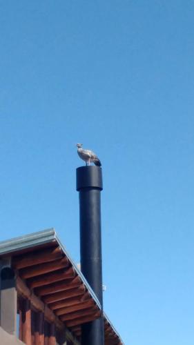 Casa Quincho Alma Calma Concordia E R