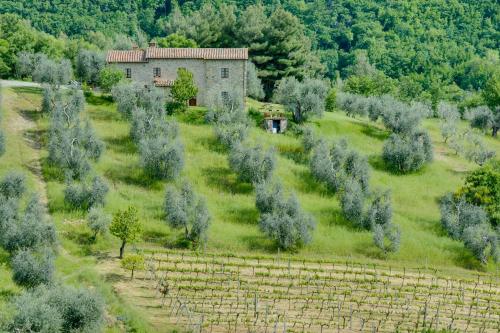  Agriturismo Bindozzino, Pension in Castiglione dʼOrcia