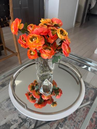 One bedroom with modern kitchen, balcony with water view One bedroom with modern kitchen, balcony with water view