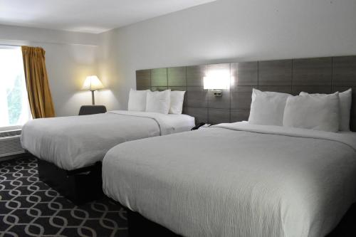 Quality Inn Manning I-95 - Photo 4 in Manning (SC), United States