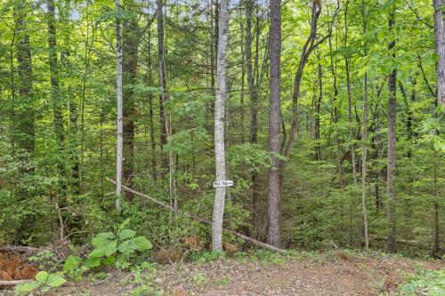 Country Dream Country Dream