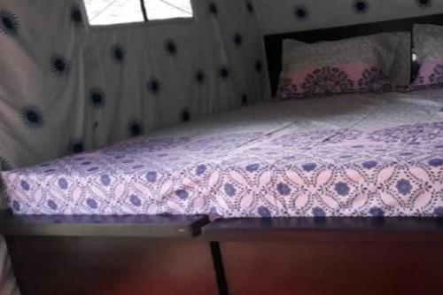 Camping at Snow Adventure Camps, Ukhimath (foto 6)
