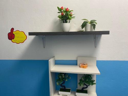 บ้านเพื่อนโฮสเทล บ้านเพื่อนโฮสเทล