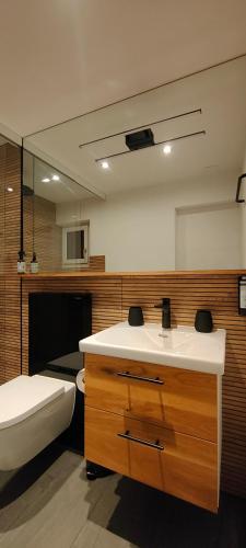 浴室, Casa Suvita , Alpine Luxury Apartment Surselva in 蘇古爾姆