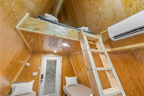 Fern Grove Fern Grove