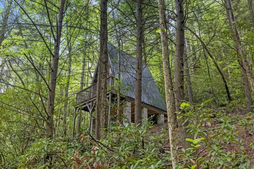 Fern Grove Fern Grove