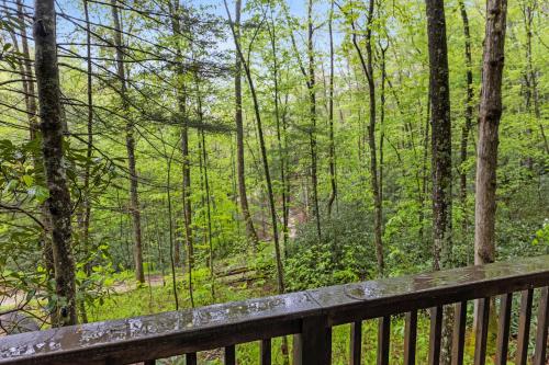 Fern Grove Fern Grove