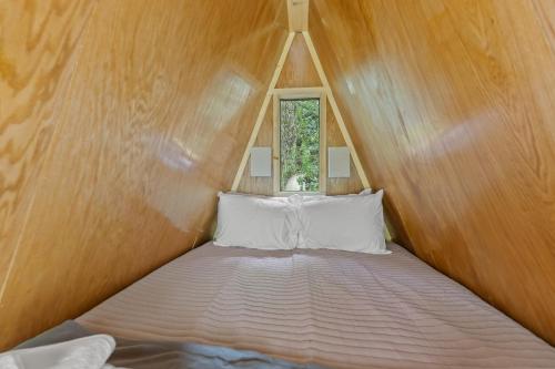 Fern Grove Fern Grove