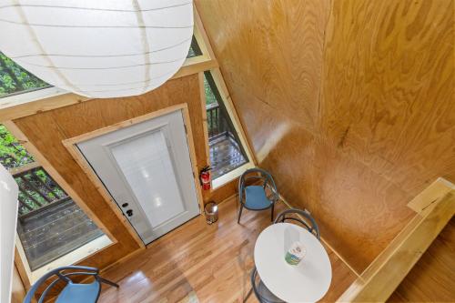 Fern Grove Fern Grove