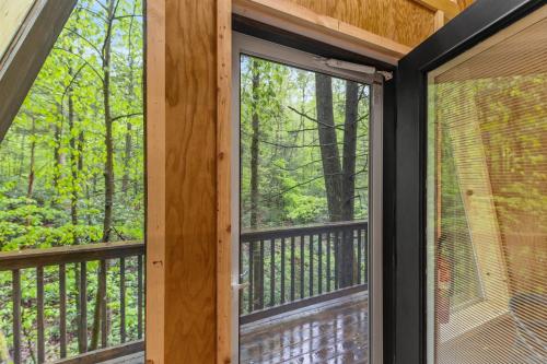 Fern Grove Fern Grove