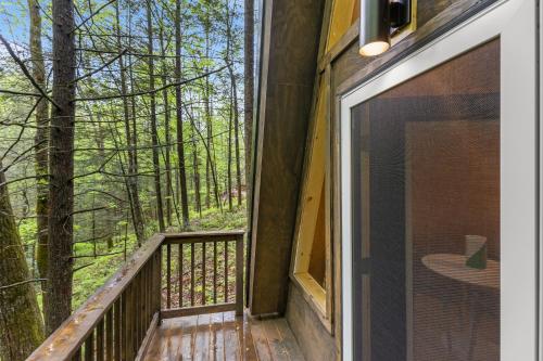 Fern Grove Fern Grove