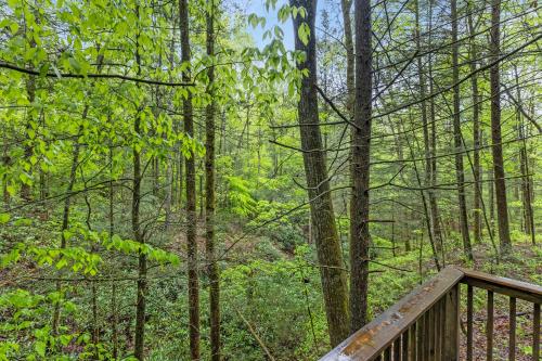 Fern Grove Fern Grove