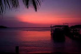 Coconut Tree Cabins