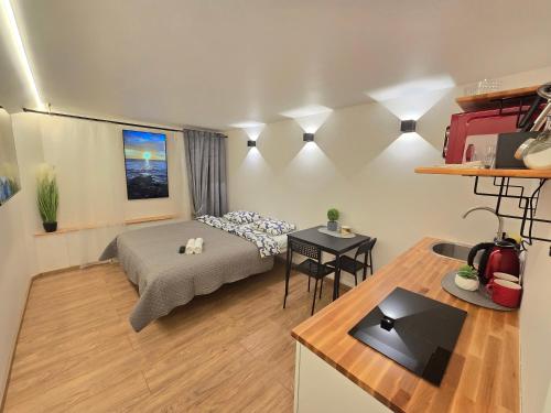 T4 Studio apartment - image 4
