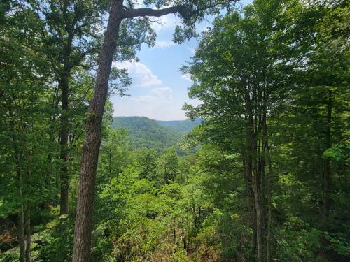 Skyline Chalet Skyline Chalet