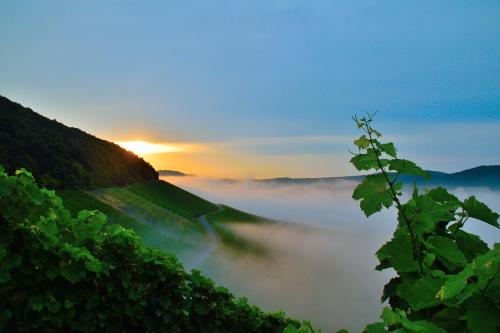 Exterior view of Winzerhof During