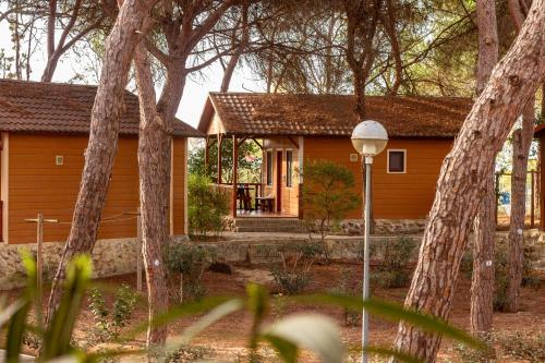 Camping Playa Las Dunas - image 5