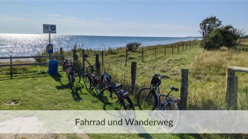 Ympäristö, Strandvilla Haffkrug Apartment Lachmöwe (Strandvilla Haffkrug Apartment Lachmowe) in Haffkrug