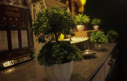 HOTEL DADO`S INN in พานาจี