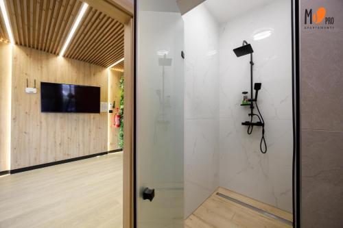 Ustronnie Residence Premium z mini Spa by MSPro - image 3