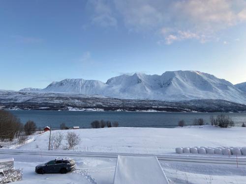 Aurora House under the mountain in Lakselvbukt