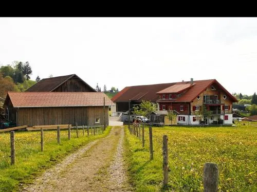 Ferienhof Hölzler in Scheidegg, Deutschland